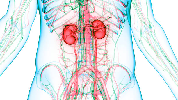Service ophtalmologie à Clinique Al Irfane Oujda