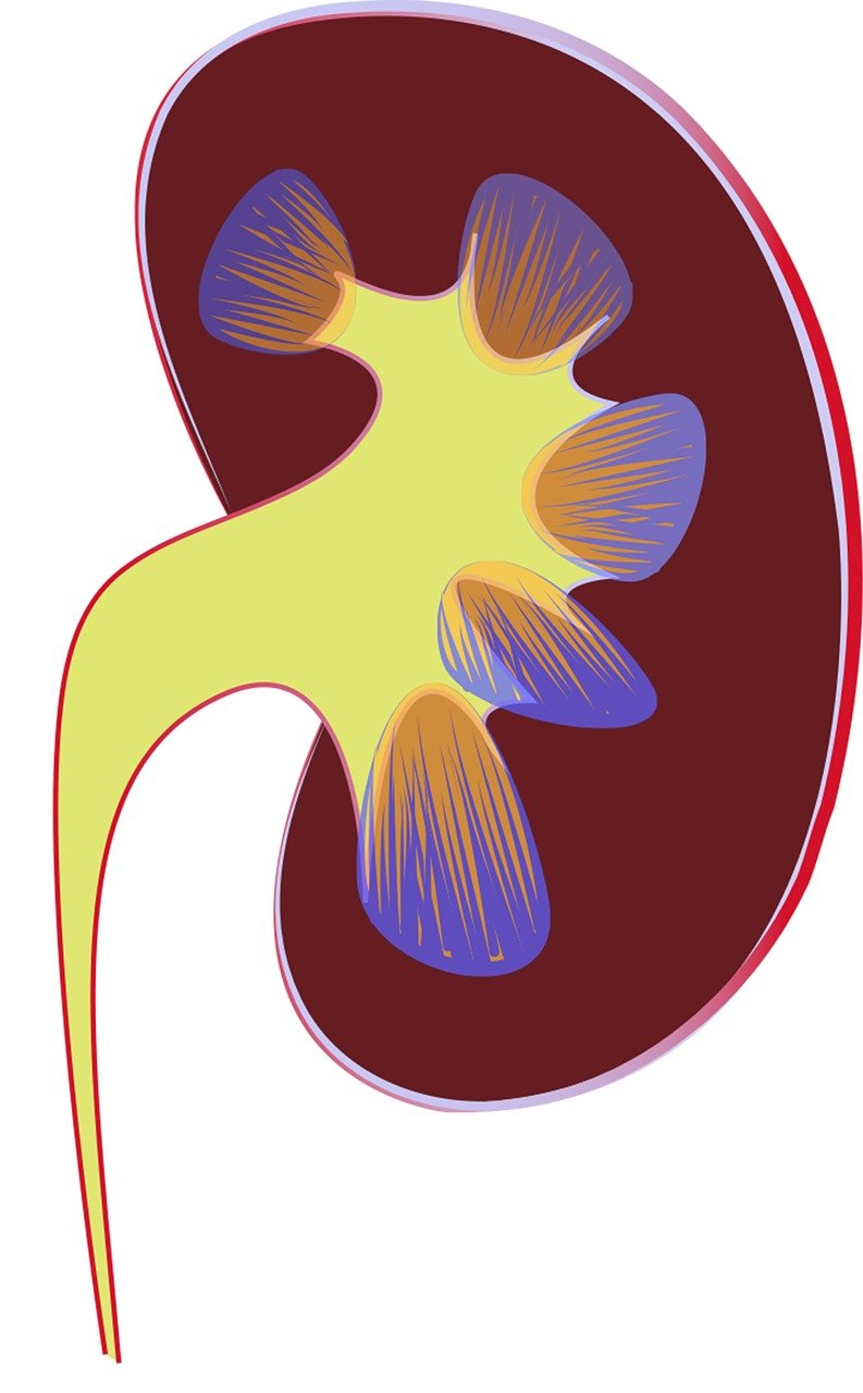 Service ophtalmologie à Clinique Al Irfane Oujda